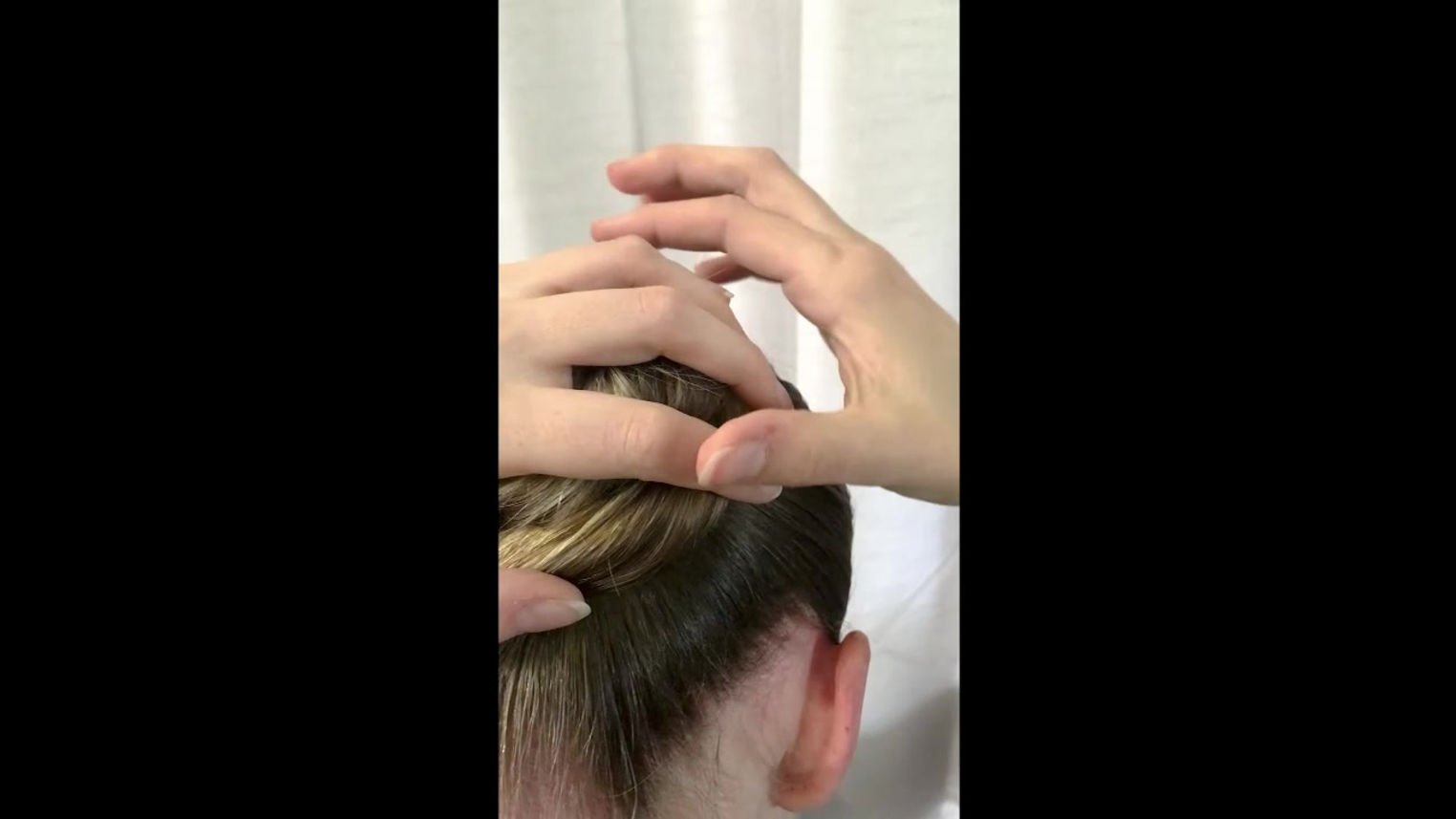 Ballet Bun_Medium